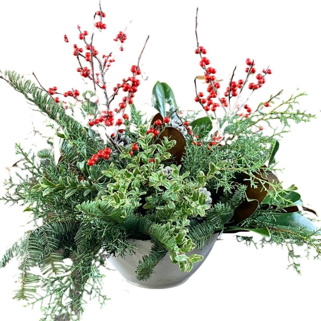 Holiday plants and flowers from Plantscaping & Blooms