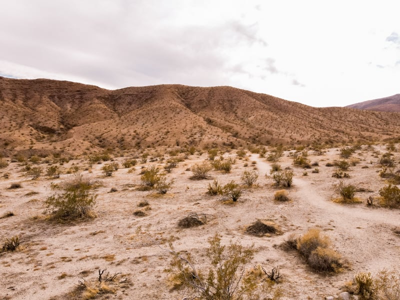 Road Trips from San Diego - Borrego Springs